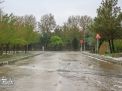 گزارش تصویری |  بارش تگرگ بهاری  و آب گرفتگی معابر دانشگاه 